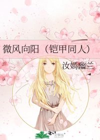 微风向阳(铠甲同人)