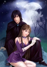 至尊王妃之傾城亂天下