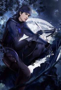 鬥氣皇妃：重生之寫意風流
