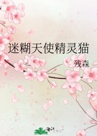 迷糊天使精灵猫